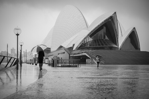2022년 4월6일. '비오는 날의 오페라하우스' (사진 제공: 조성찬 작가)  