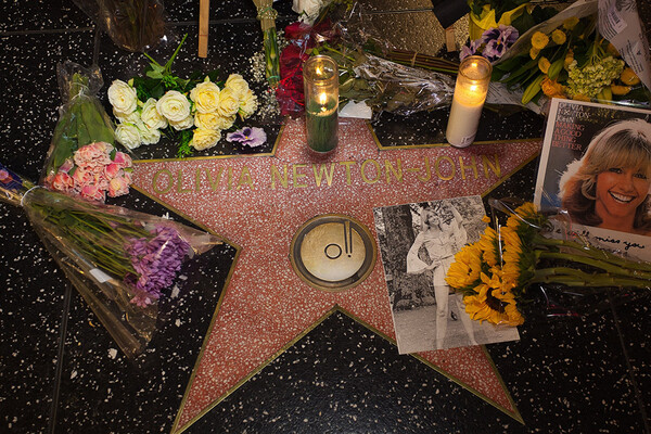 로스앤젤레스 할리웃 명예의 거리에 올리비아 뉴튼-존을 추모하는 팬들이 놓고간 꽃과 사진들이 놓여있다. 출처: Shutterstock
