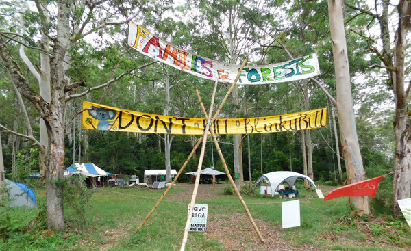 산림 개발에 반대하며 농성하는 사람들