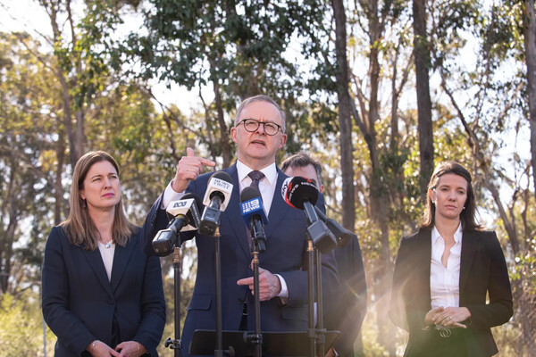 앤소니 알바니지 총리는 조기 선거 가능성을 없애려면 녹색당이 (사진: Sydney Morning Herald)